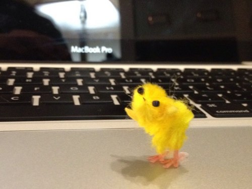 LilTravelChick's profile picture. 