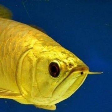 MadhanPrab99401's profile picture. 