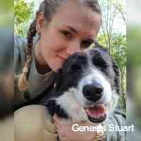 Genesis Stuart (@stuarttgenesii) 's Twitter Profile