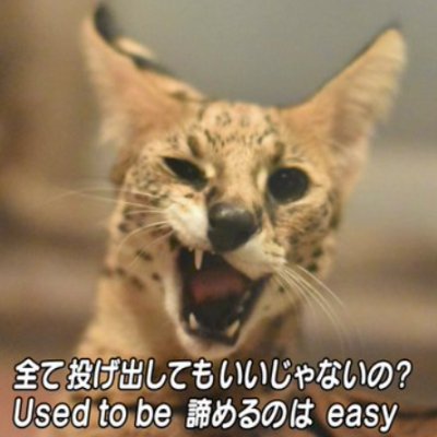 puripurigirl36's profile picture. ほいとよばれてます