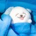 ㅔㅔ (@soonsoonee) Twitter profile photo ㅔㅔ (@soonsoonee) Twitter profile photo