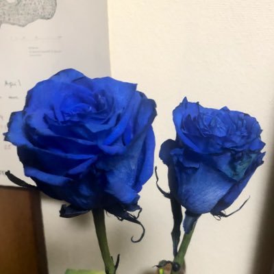 小説を書いてます。日本作家クラブ会員。中部ペンクラブ会員。文芸中部同人。大須book apartment No.72「夢幻堂」とにかく本が好き。旅も好きなので文学イベントや本に関する情報を求めています! 文学フリマ、ZINEフェス。ワクワクがとまらず創作に夢中!ステキブンゲイ、カクヨム、小説家になろうにも投稿中。