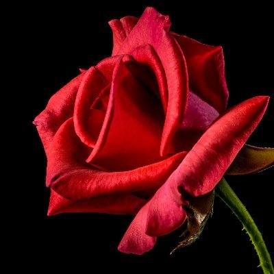 sharmavijay121's profile picture. (🧙,🧙)🧙,⛺