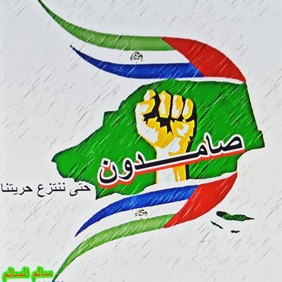 #انا_حضرمي وأنا موجودة على منصة X لدعم وتعزيز الهوية الحضرمية ، ولست سياسية بل أحب حضرموت وأنتمي إلى هويتي الحضرمية 💚