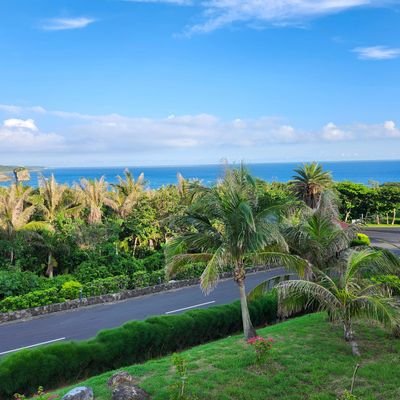 Sally2522327533's profile picture. 