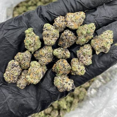 Los Angeles based bringing you the best selection and prices local or too your šŖāļøš
Risk it and get where you wanna be
Welcome to LA Kings Distro baby š
