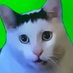 huhcat (@nyamcon_gr) Twitter profile photo huhcat (@nyamcon_gr) Twitter profile photo