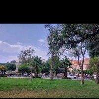 يوسف آل صايل (@yousafsaeel) Twitter profile photo