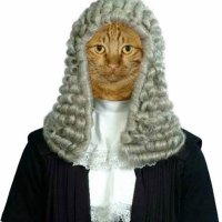 Kpop Judge (@kpopjudge_) 's Twitter Profile