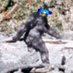 Baylor Bigfoot, Baylor Royal Commander 🦍🦏 (@baylorbigfoot) Twitter profile photo Baylor Bigfoot, Baylor Royal Commander 🦍🦏 (@baylorbigfoot) Twitter profile photo