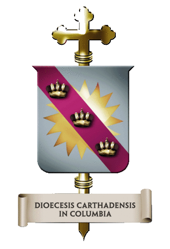 La Diócesis de Cartago fue creada por su Santidad Juan XXIII, por medio de la Bula Eclesiarum Omnium del 16 de marzo de 1962