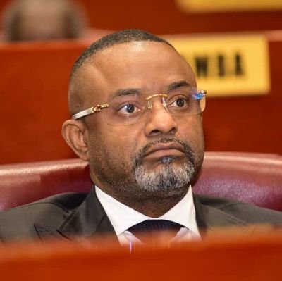 Sénateur #RDC🇨🇩 I Conseiller spécial & politique @moise_katumbi I Haut-représentant @Ensemble_MK Grand #Kivu I Directeur financier @TPMazembe