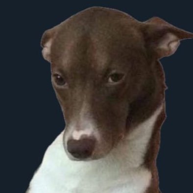 lilianongjune's profile picture. อิอิ