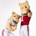 Boomer & Sooner (@boomerandsooner) Twitter profile photo Boomer & Sooner (@boomerandsooner) Twitter profile photo