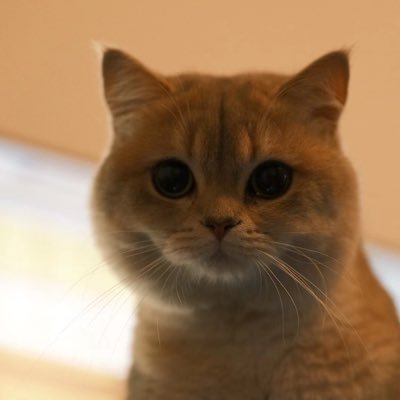 Lord23149's profile picture. 