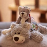 Duffy (@duffybear99) 's Twitter Profile Photo Duffy (@duffybear99) 's Twitter Profile Photo