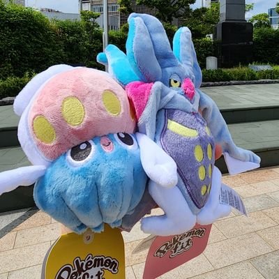 胞子さんのプロフィール画像