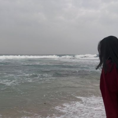 srhspages's profile picture. can't describe anything