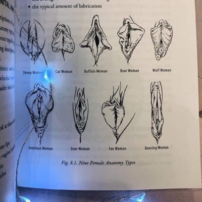 ikechuk21471106's profile picture. 