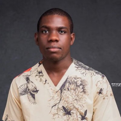 An elegant PHP/Laravel backend Engineer with over seven years of experience. I focus more on solving server-side issues in php/Laravel and Rust.