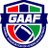 GamAmFootball's profile image