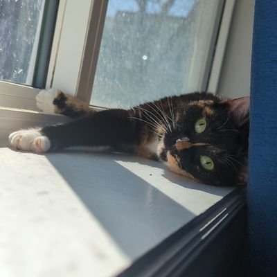 homgna's profile picture. 26 - Homie Baloney