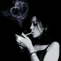 CynthiaSaxon (@saxoncynth11295) 's Twitter Profile