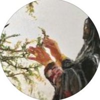 ⌝ رَبـة الحُسنِ ⌞ (@_71iim) 's Twitter Profile