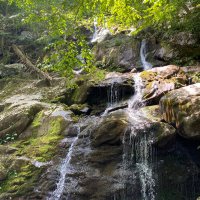 Kate Campbell (@campbell0681) 's Twitter Profile