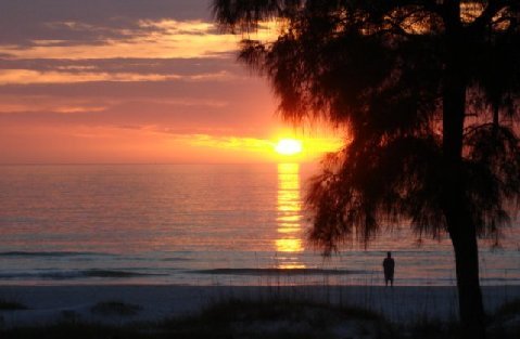 CraigCornelisen's profile picture. Online Marketing Consultant/Adult Education Consultant