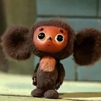 Чебурашка coin (@cheburashkacoin) 's Twitter Profile Photo