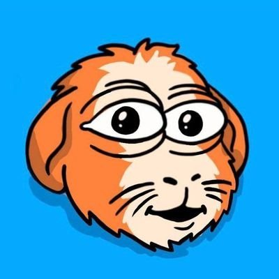 Chomp_coin's profile picture. 🟠 Dopest Art & Memes in the Space 
$CHOMP is the fiercest little fuzzball on @base