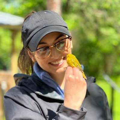 Talia Lowi-Merri, PhD Profile