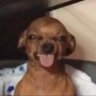 Hawttpeaches's profile picture. Charts and analysis| POC | he/him