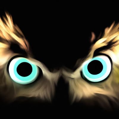 ____CONCEPT___'s profile picture. 