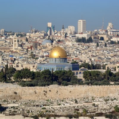 الناس يبادون. والحكام ينددون فقط. الله ينتقم ممن خذل غزة