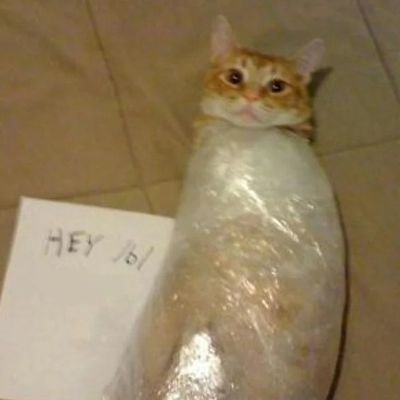 322_322_322's profile picture. I sure hope I'm not a bot.