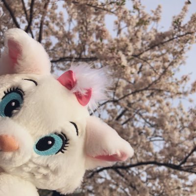 mさんのプロフィール画像