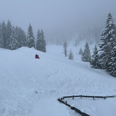 GiorgioPle45856's profile picture. 