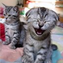 Tracy lewin - @TeeLewin - Twitter