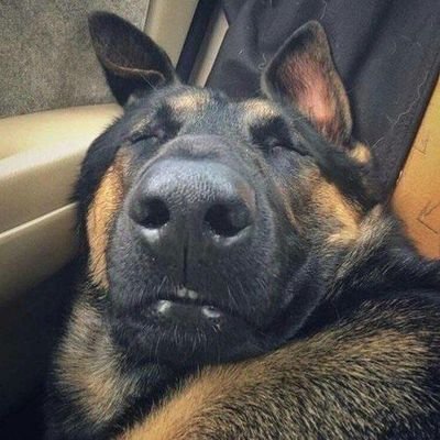 TTS9997's profile picture. 可提供，电报上粉，电报在线粉。
推特上粉点赞，转推评论
电报群活跃，机器人聊天水军

电报 https://t.co/OXWmoXVy1L