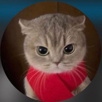 Strunzyyy (@cs_strunzyyy) 's Twitter Profile