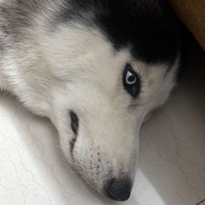 kalia1987's profile picture. 