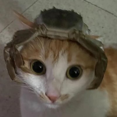 Carsonさんのプロフィール画像