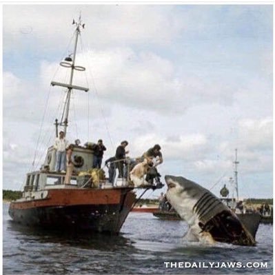 kpop1978's profile picture. KCCO