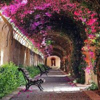 خطابه ابوعريش وضواحيها (@khtabh75079) Twitter profile photo