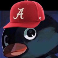 Colin (@colincashflow) 's Twitter Profile