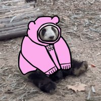 zee (@zeeonsol) 's Twitter Profile Photo zee (@zeeonsol) 's Twitter Profile Photo