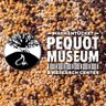 pequotmuseum's profile picture. The Pequot Museum, located minutes away from @foxwoodsCT, is the largest Native American museum in the world.