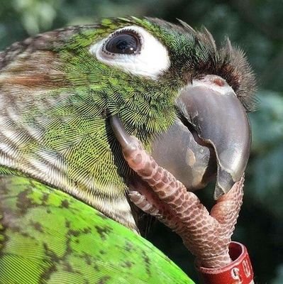 toxica e doida. as vezes serena. biodegradavel. ocasionalmente suculenta. mais infos consulte meu juridico. nao reembolsavel.